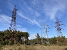 Elektripostid metsa vahel